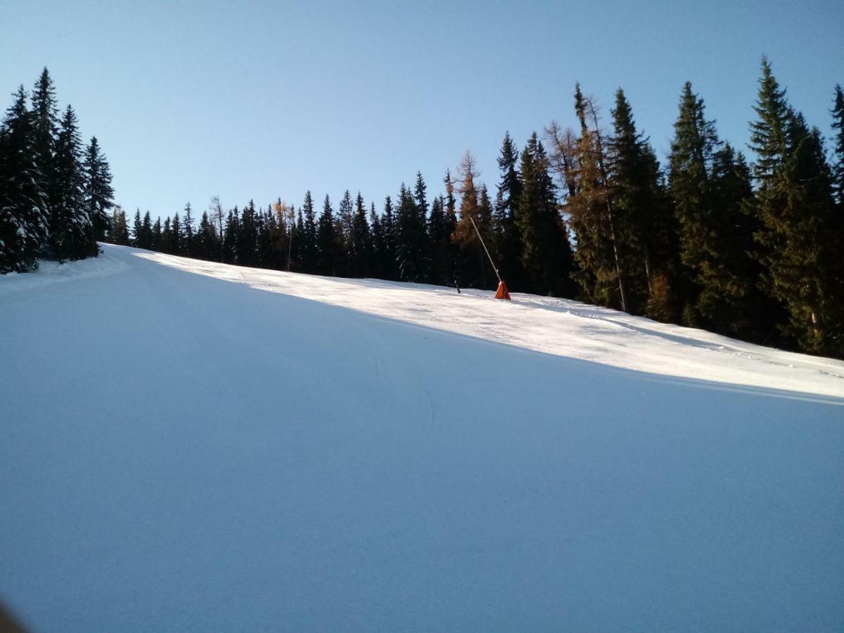 Ferienwohnungen Reinbacher - Primps Schladming Exterior foto